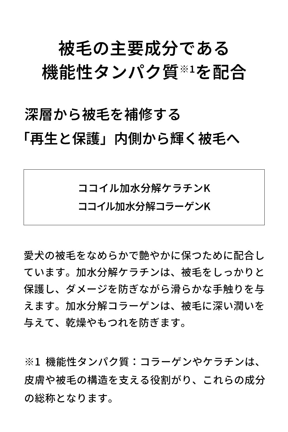シャントリドッグ