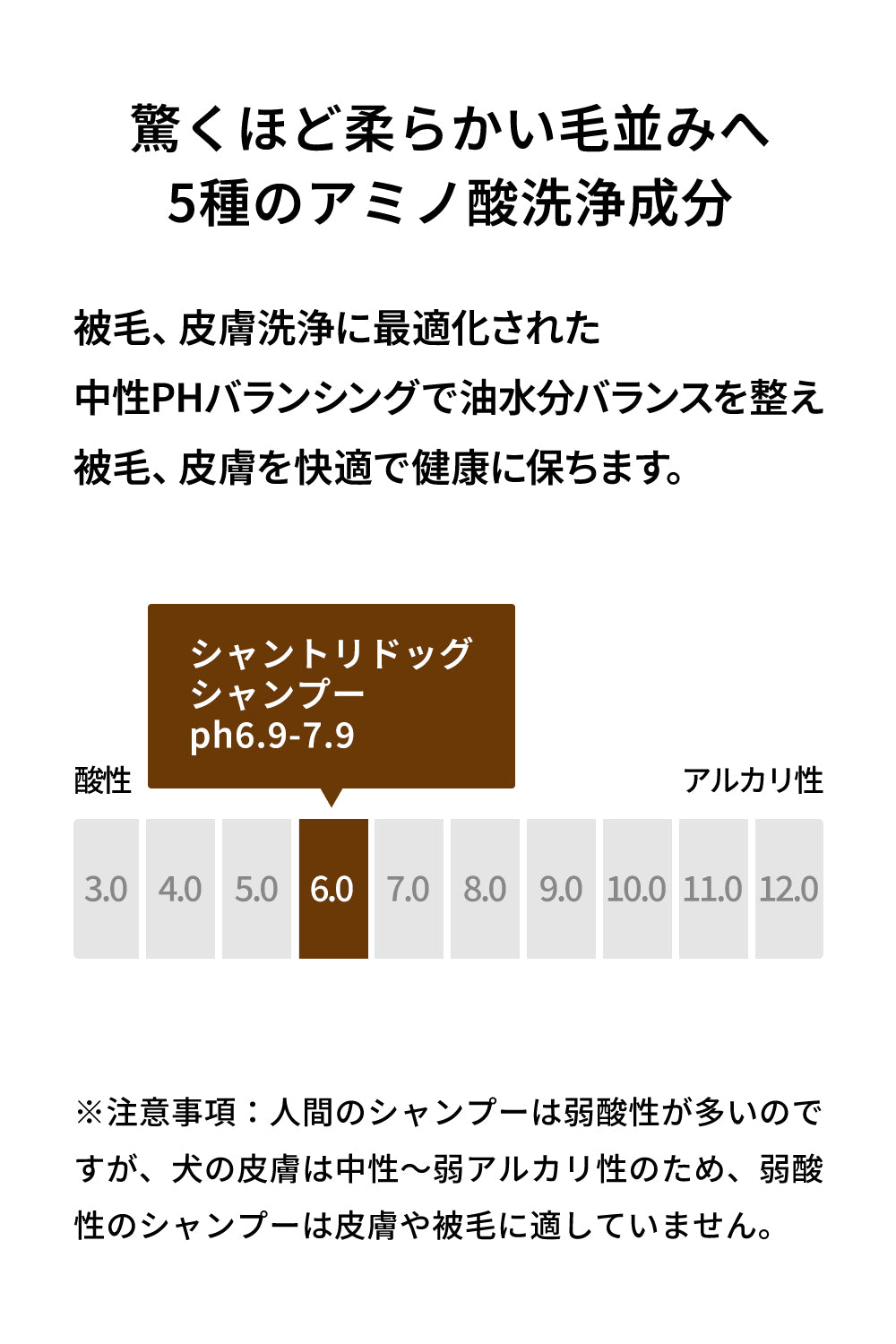 シャントリドッグ