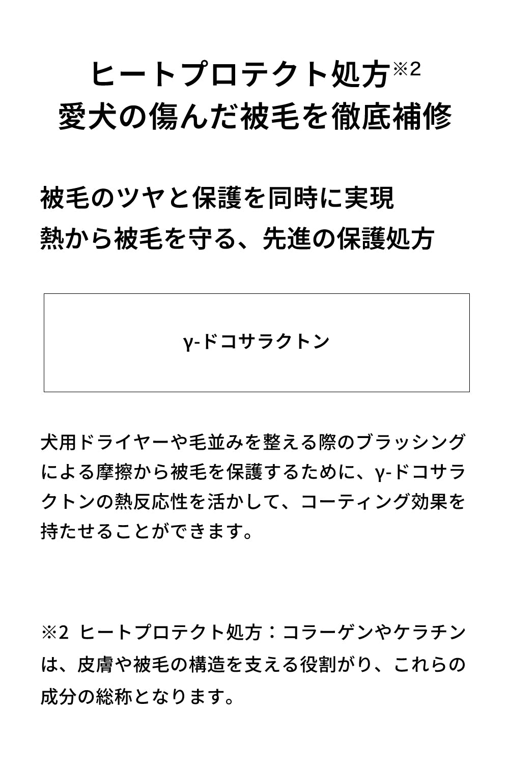 シャントリドッグ