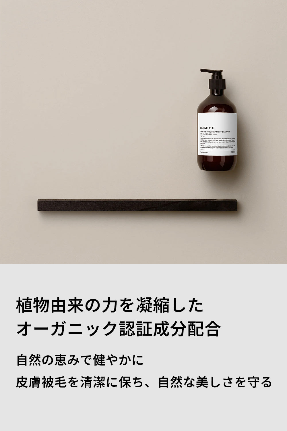 シャントリドッグ