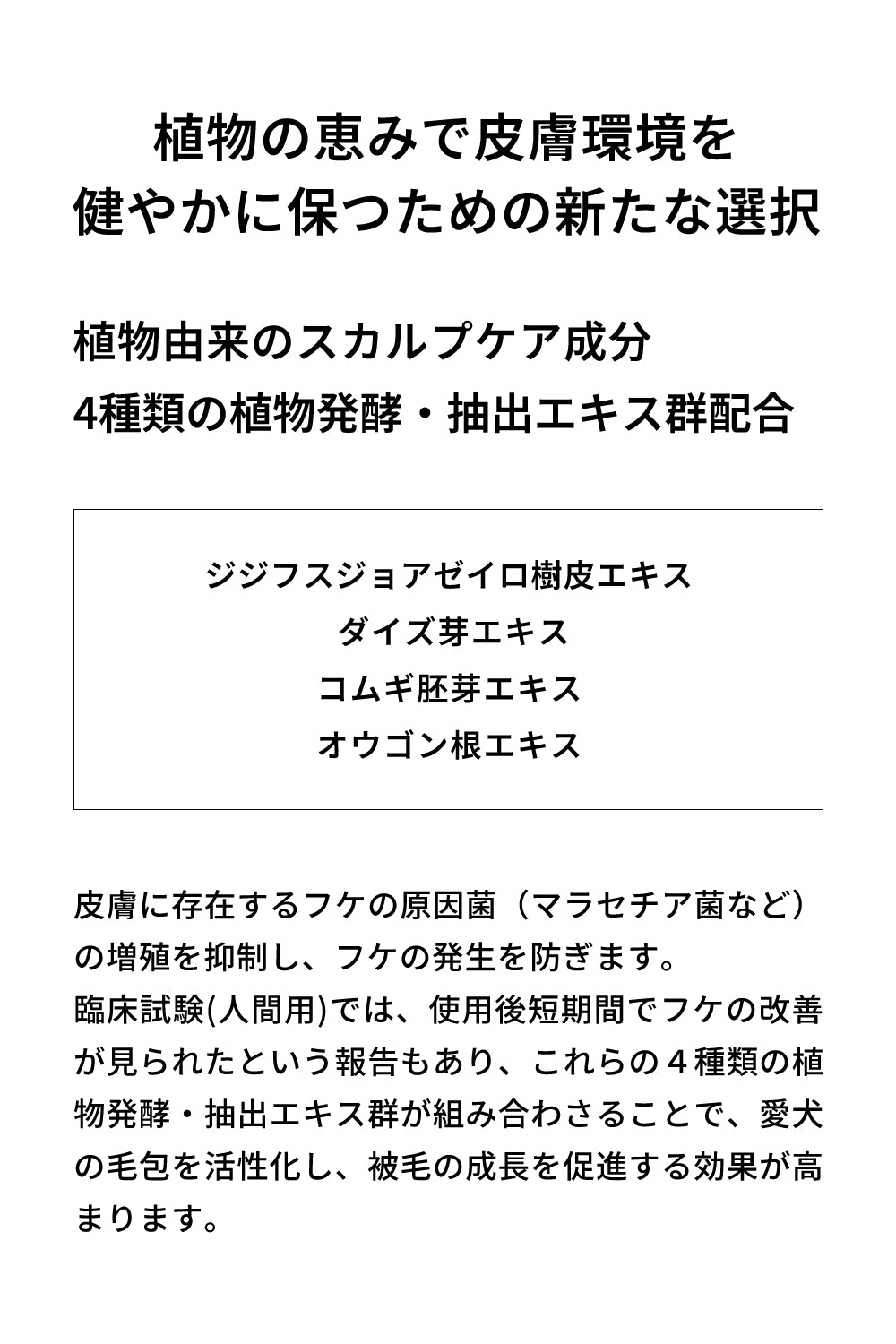 シャントリドッグ