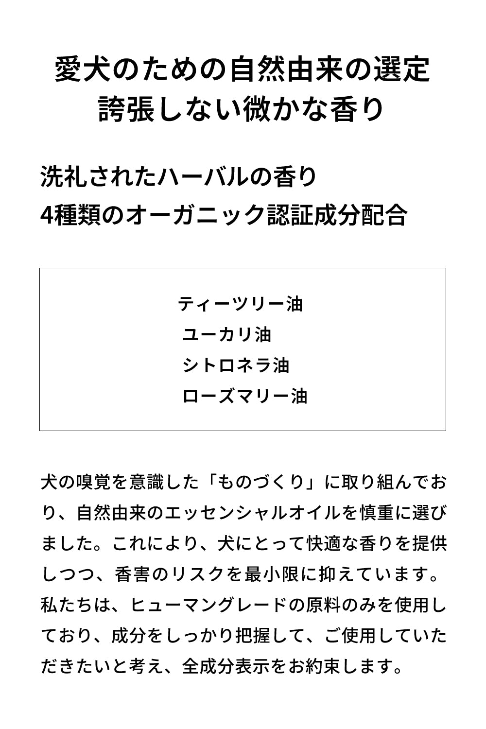 シャントリドッグ