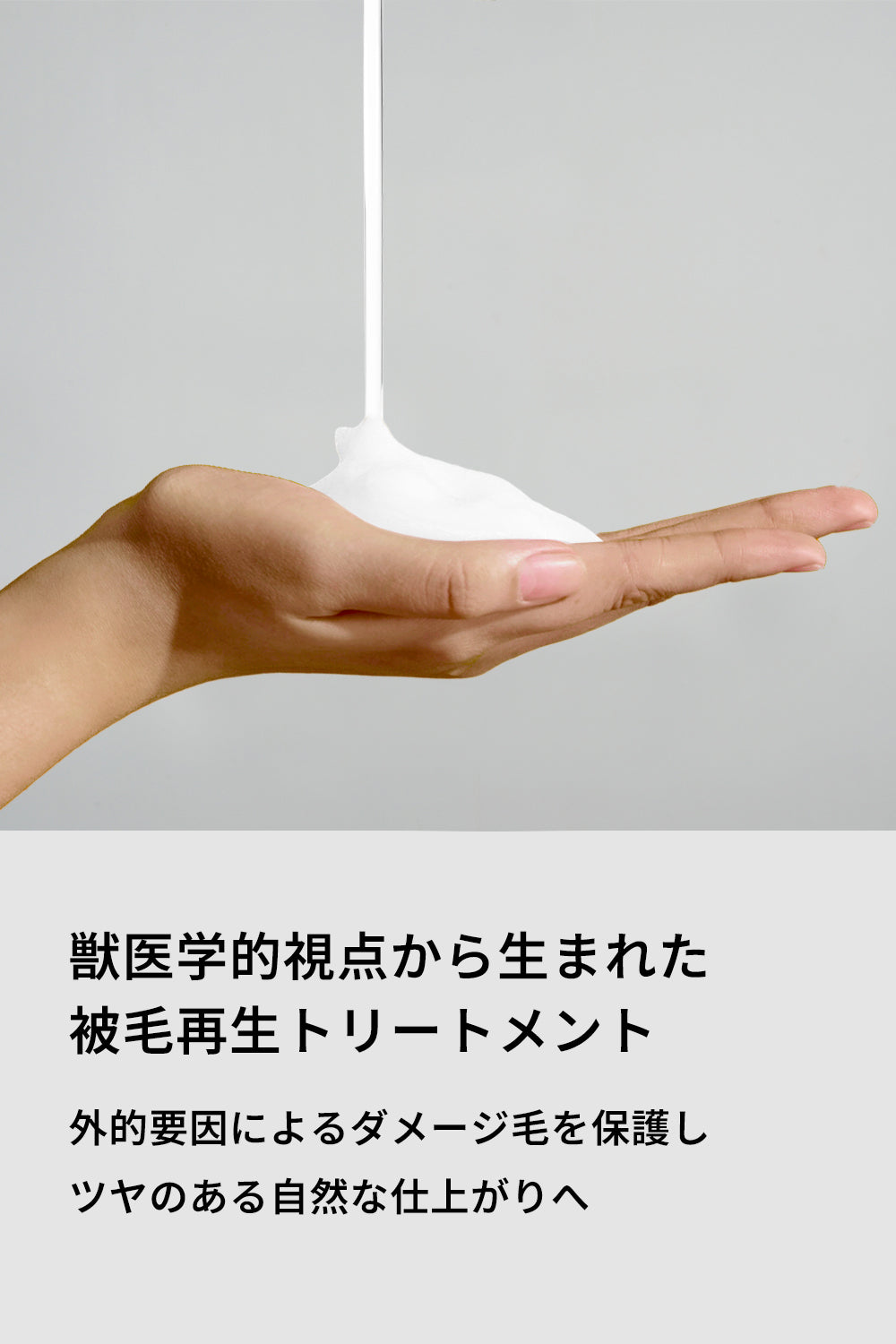 ドッグトリートメント