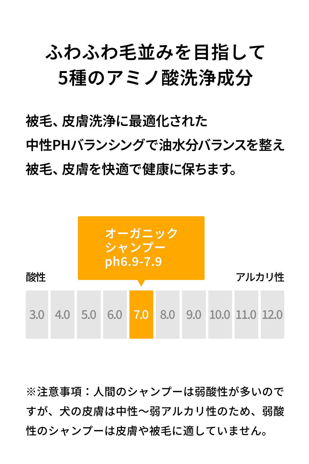 ドッグシャンプー