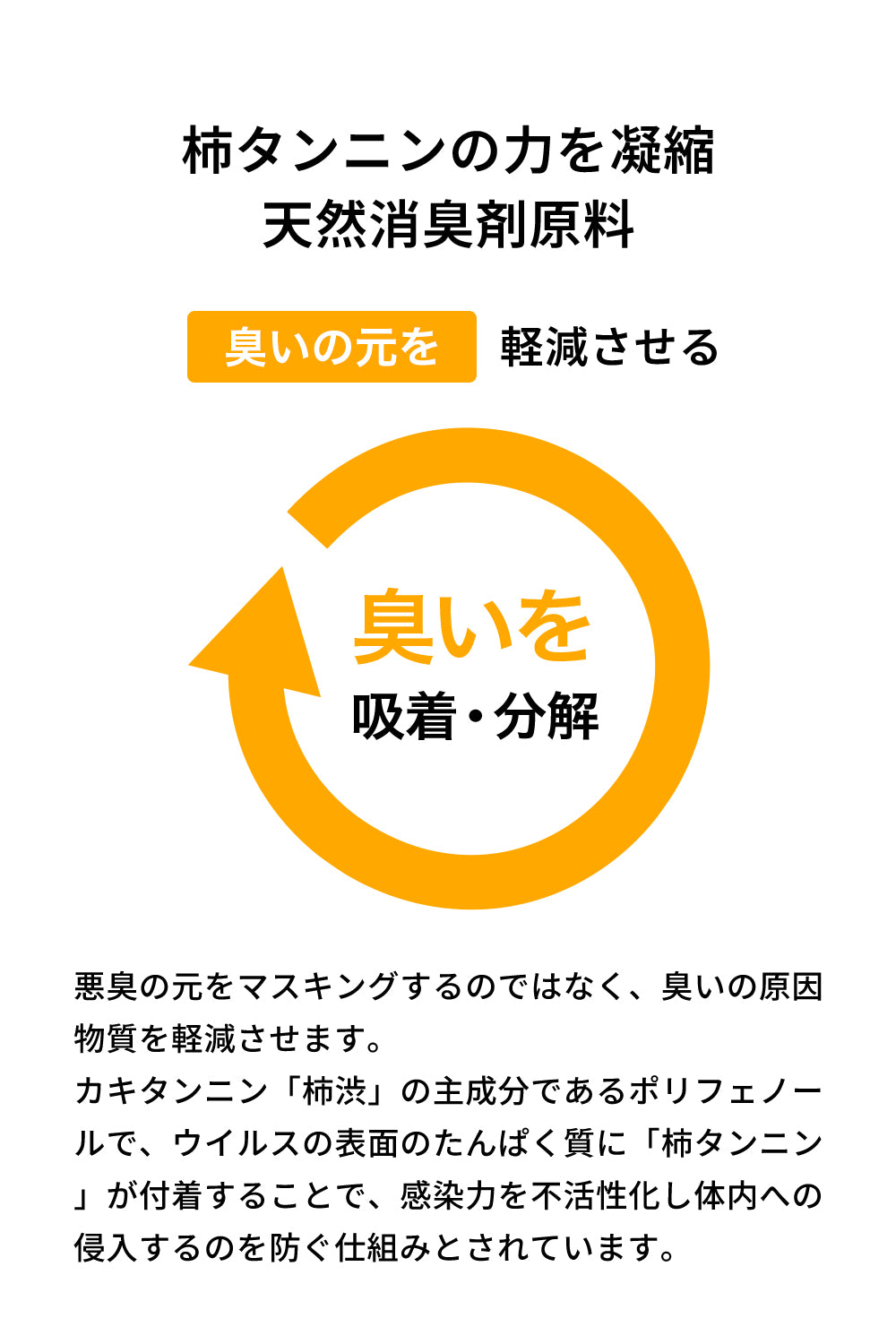 ドッグシャンプー