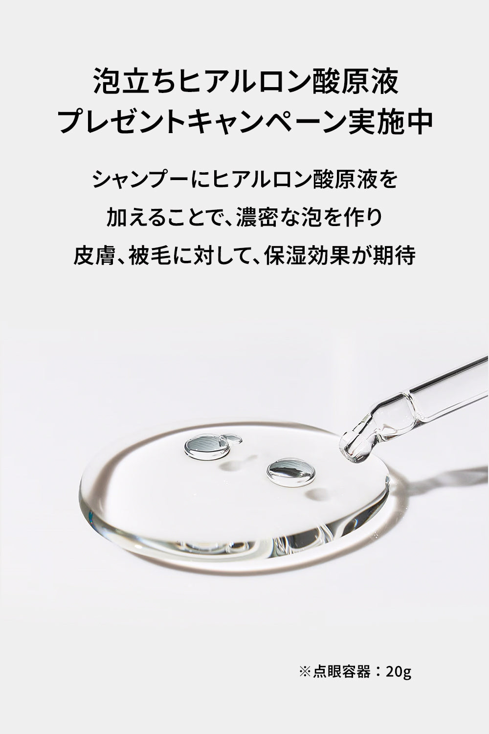 ドッグシャンプー