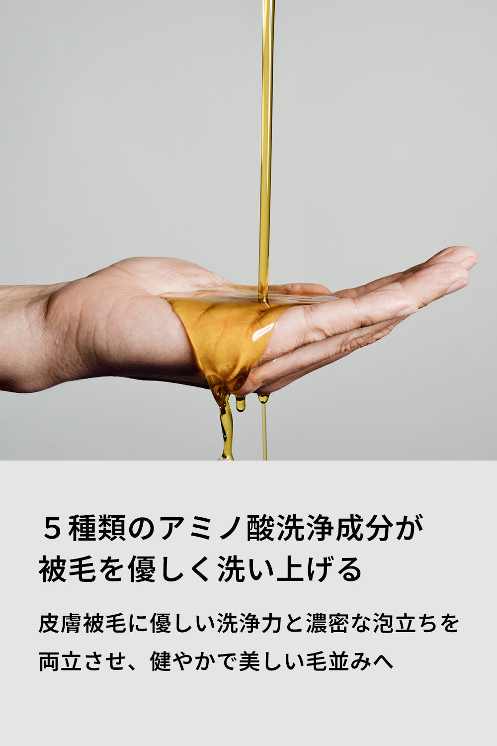アロマティック ドッグシャンプー