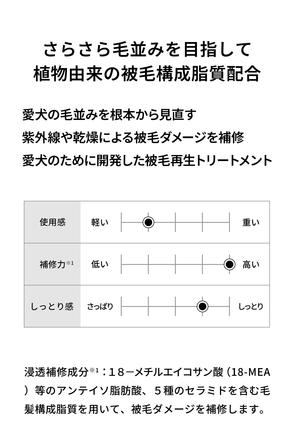 ドッグシャンプー&トリートメント