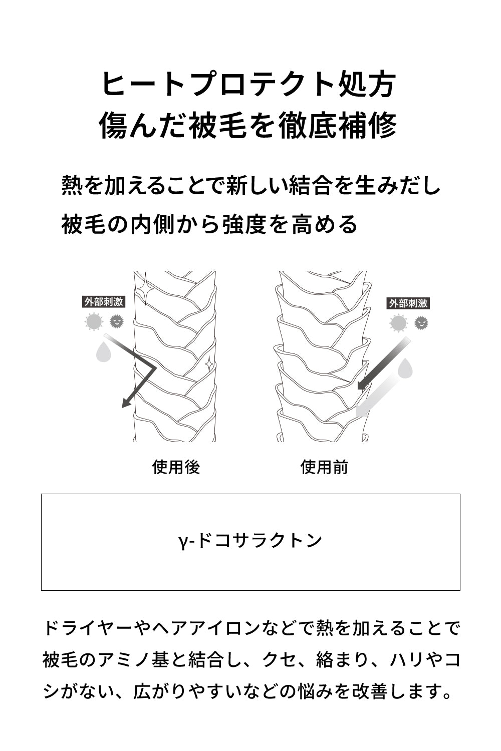 ドッグシャンプー&トリートメント